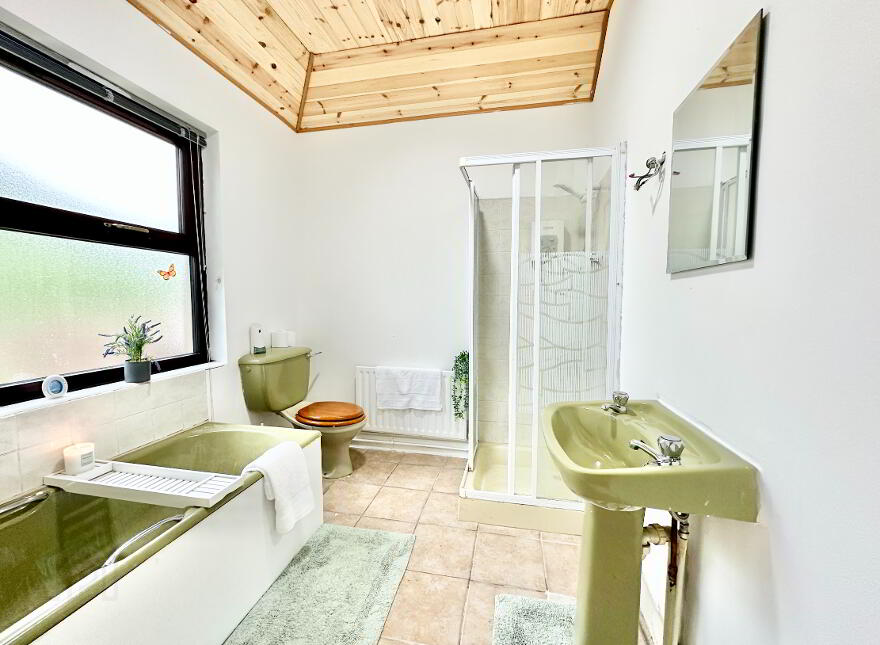 Coolagowan, Castletown, Kilmallock, V35WC67