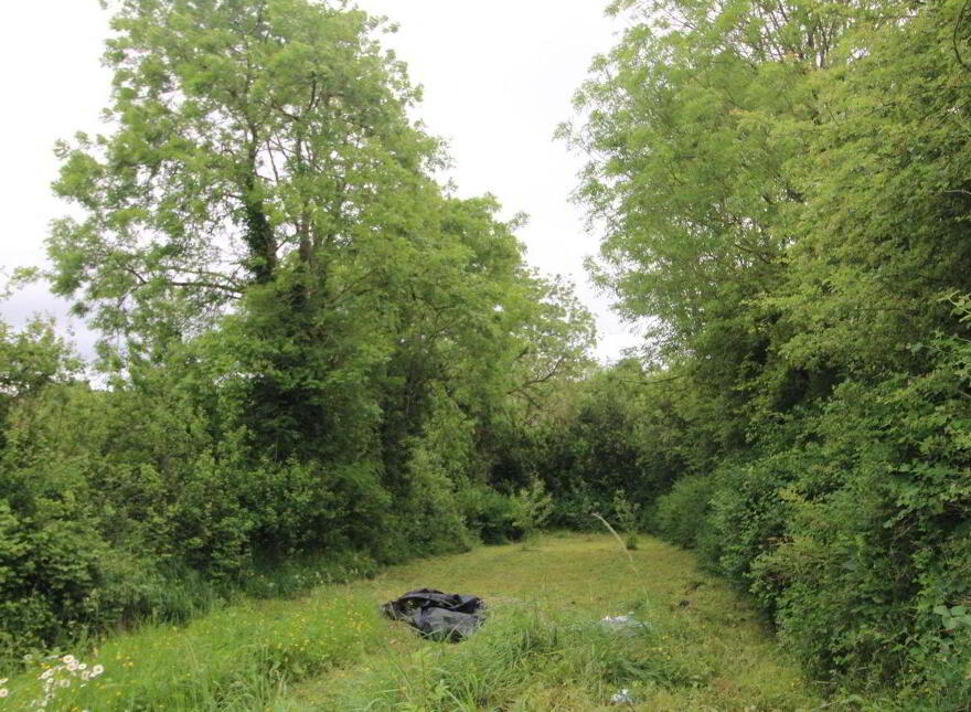 Main Street, Ballyclough, Mallow