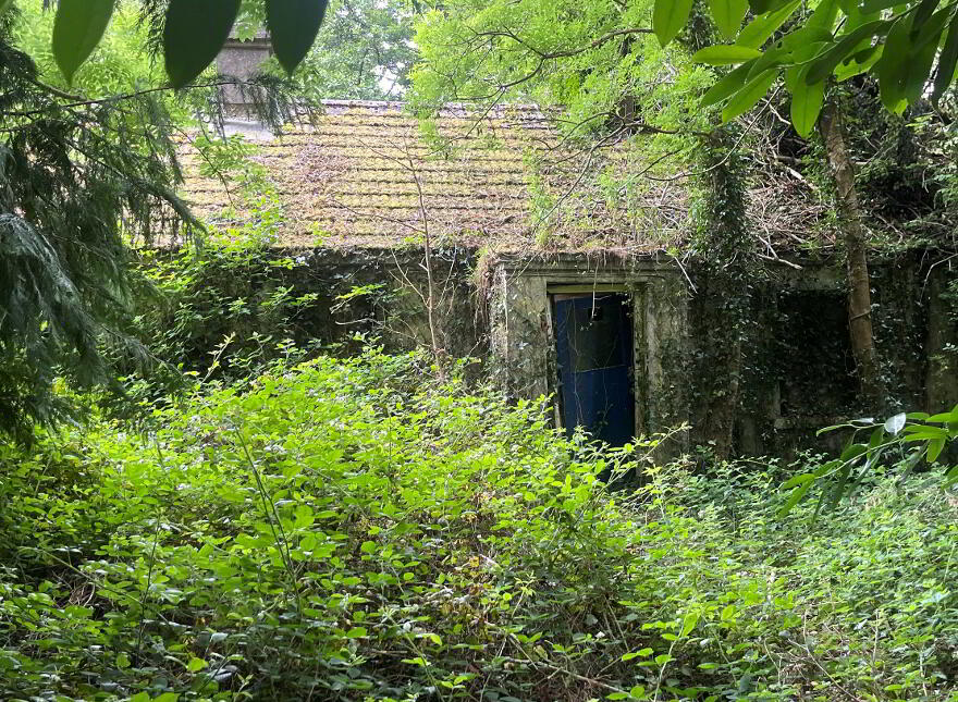 Derrinlough,, Moylough photo