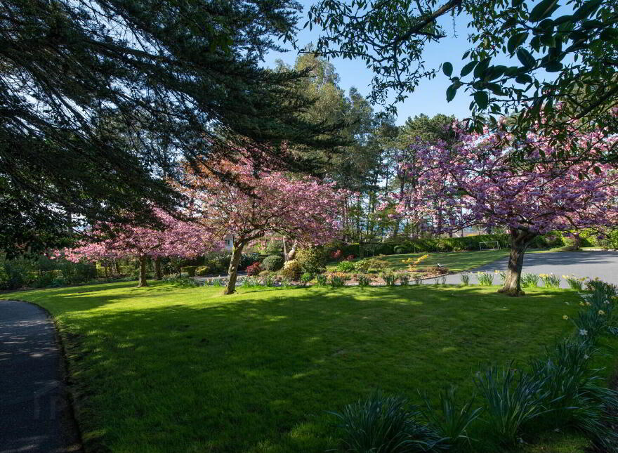 Downshire House, 13 Maxwell Road, Bangor, BT20 3SQ