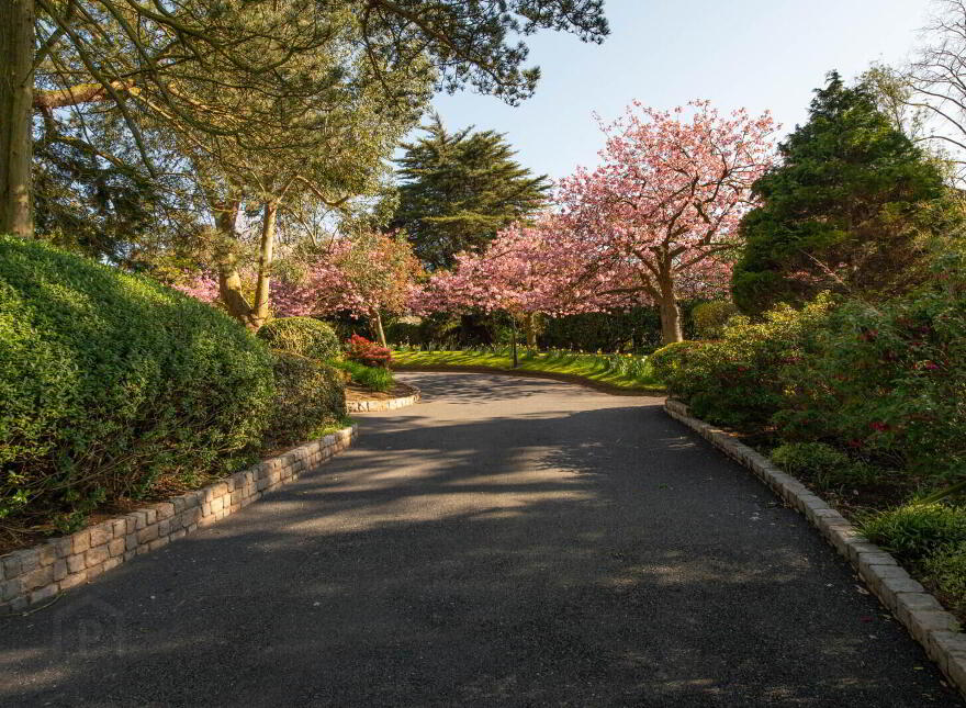 Downshire House, 13 Maxwell Road, Bangor, BT20 3SQ