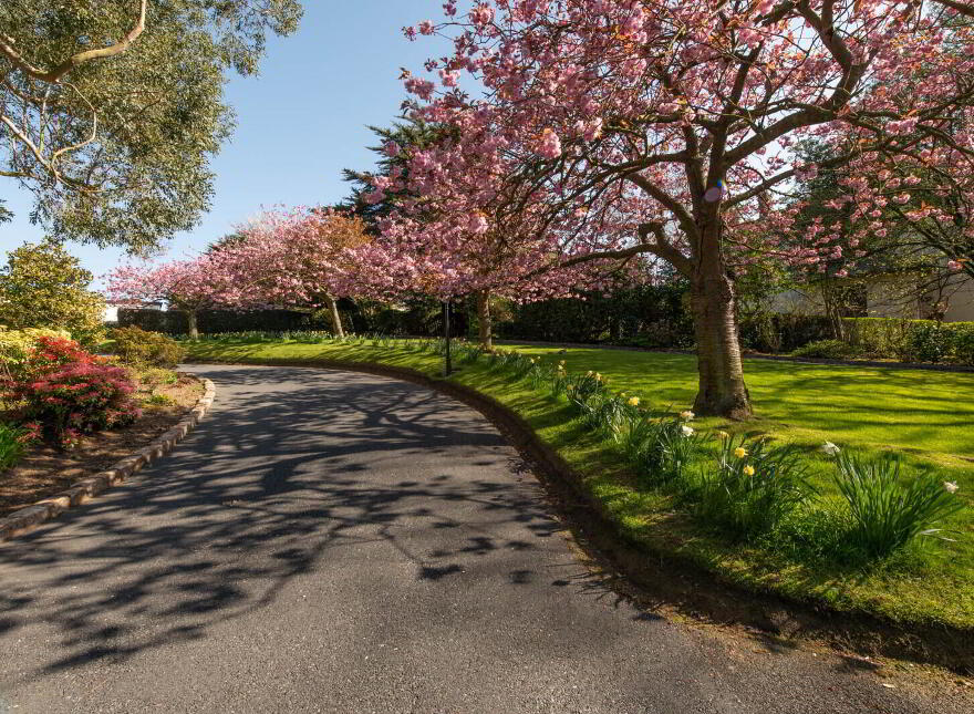 Downshire House, 13 Maxwell Road, Bangor, BT20 3SQ
