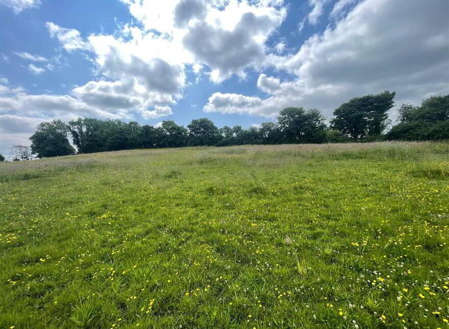 Land At, Downpatrick Road, Ballynahinch, BT24