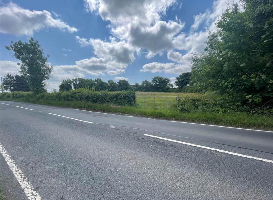 Land At, Downpatrick Road, Ballynahinch, BT24 photo