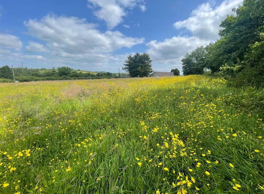 Land At, Downpatrick Road, Ballynahinch, BT24