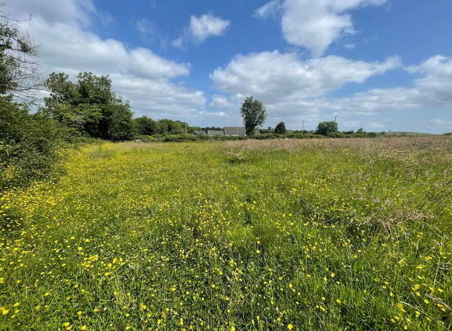 Land At, Downpatrick Road, Ballynahinch, BT24