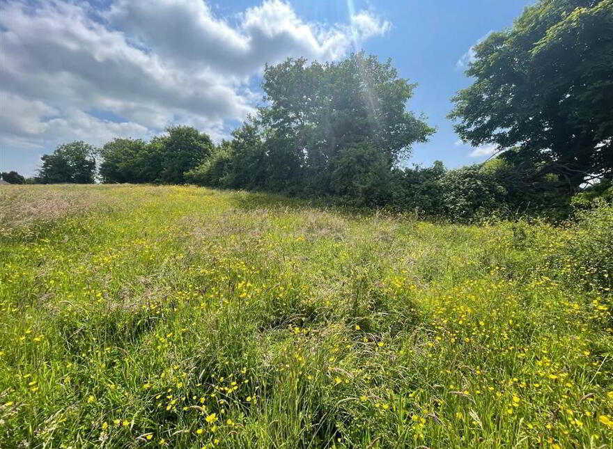 Land At, Downpatrick Road, Ballynahinch, BT24