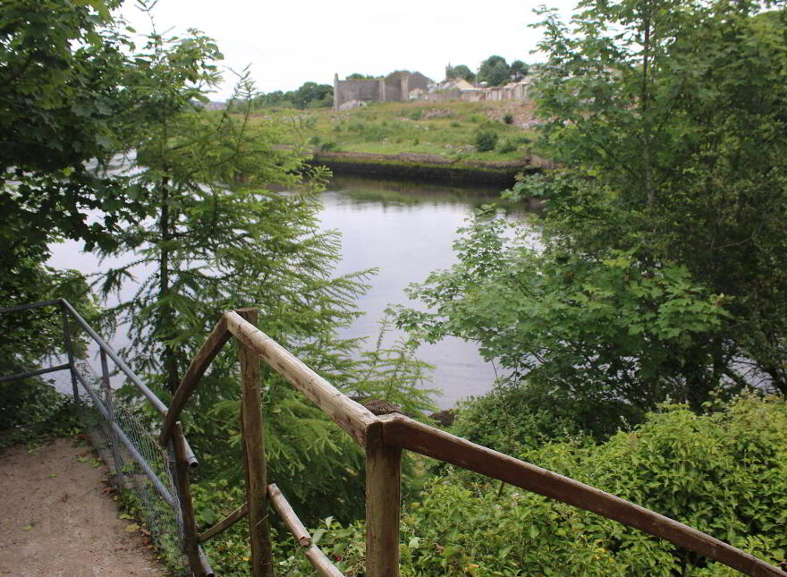 Inis Saimer, Ballyshannon