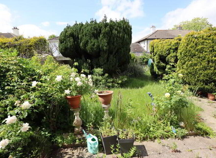 11 Broadmeadow Road, Ashbourne