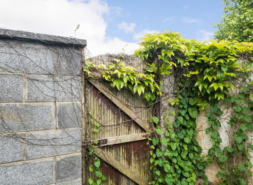 15a Willington Park, Templeogue, 6w, D6wfd72, Dublin