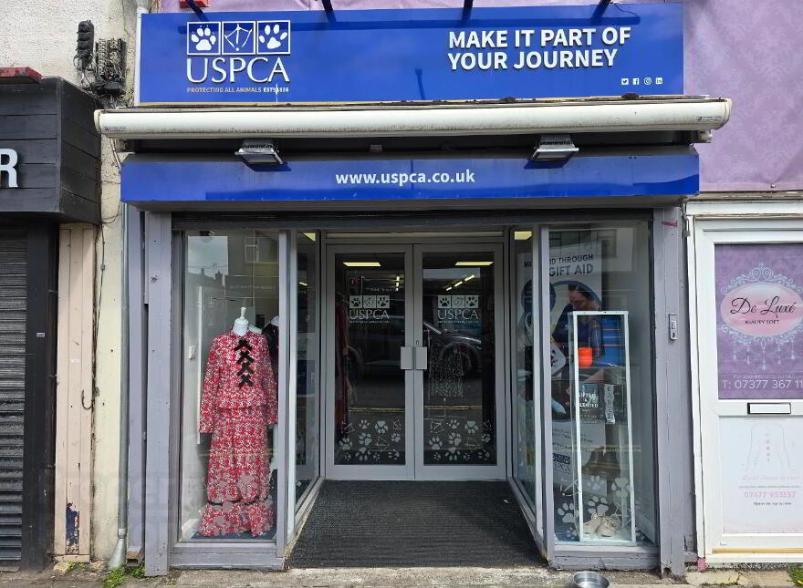 144 Longstone Street, Lisburn, BT28 1ET photo