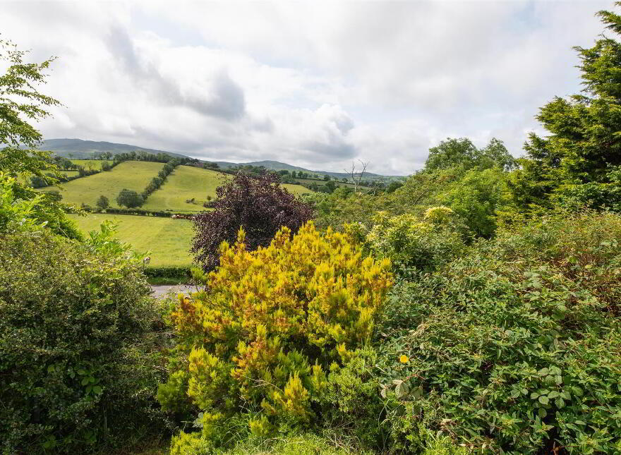 24 Ballynahinch Road, Dromara, BT25 2BS