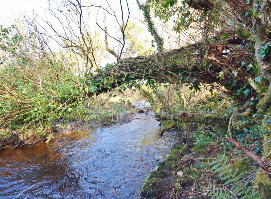 Knockaunbrack, Lyreacrompane, Listowel, V31DE24