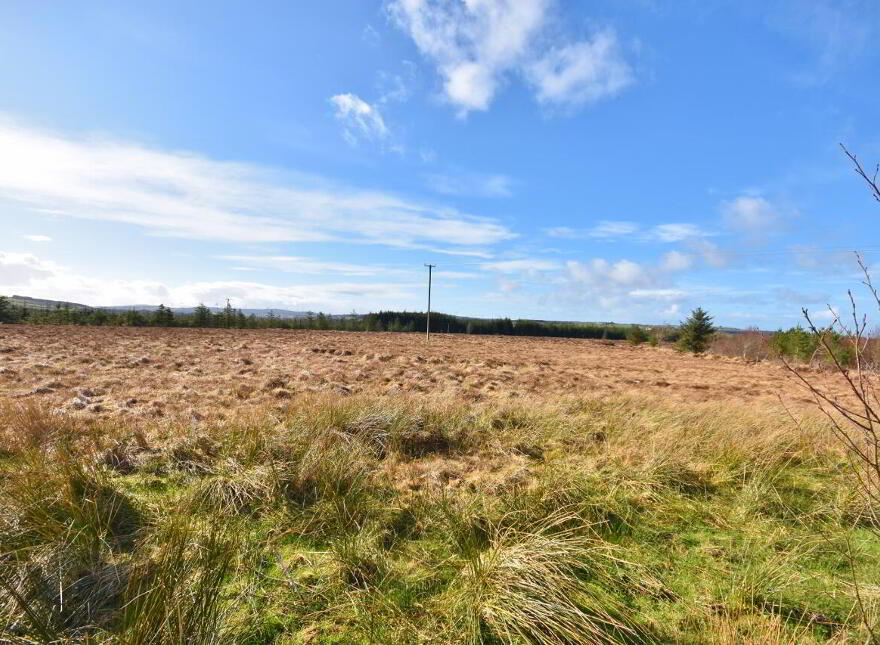 Knockaunbrack, Lyreacrompane, Listowel, V31DE24