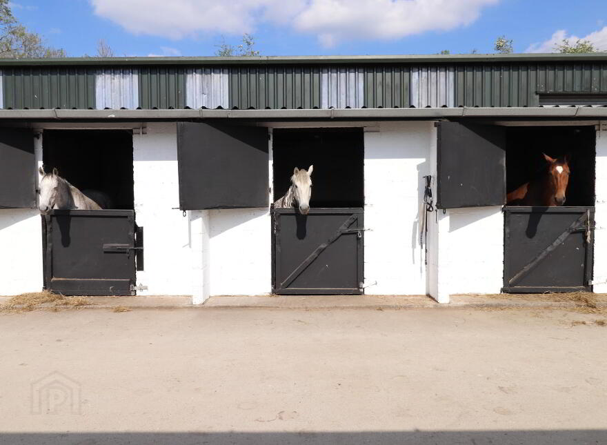 C. 10 Ac. &, 27 Stables, Drumralla Stables, Newtownbutler, BT92 6NJ
