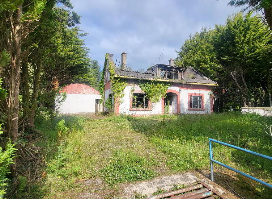 Lisroughty Aughawillan, Ballinamore, N41KC97 photo