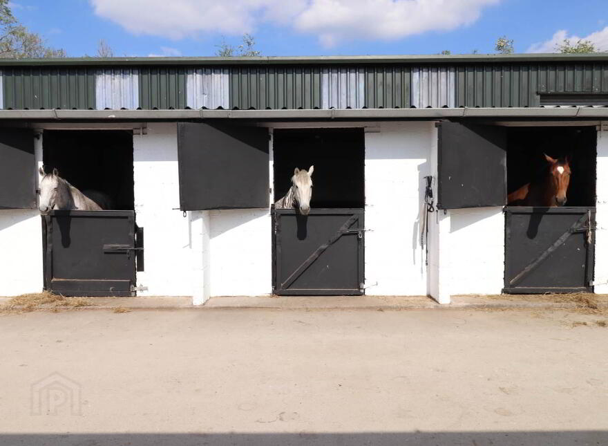Drumralla Stables, Drumralla Road, Newtownbutler, Nothern, BT92 6GZ