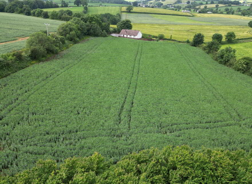 Annaghone Road, Shankey Road, Stewartstown