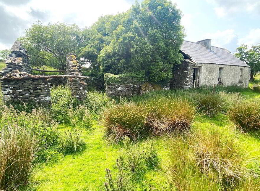 Cornaness Glebe, Ardara