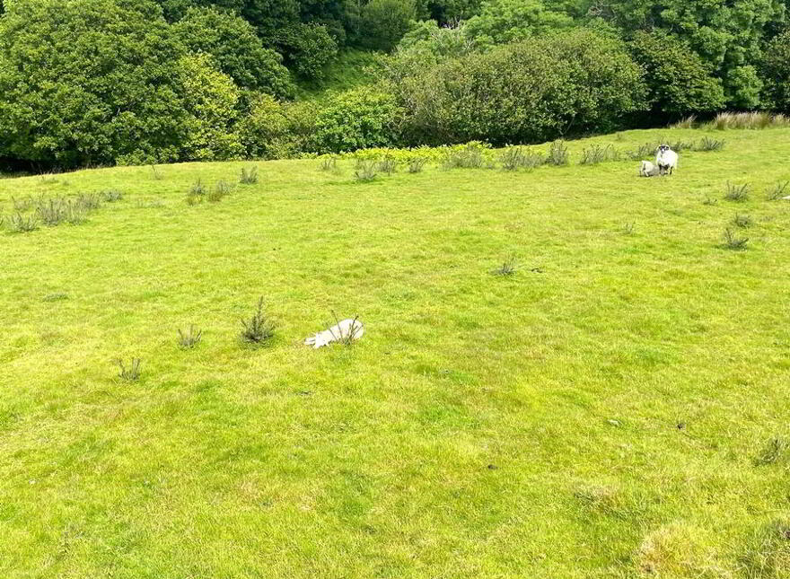 Cornaness Glebe, Ardara