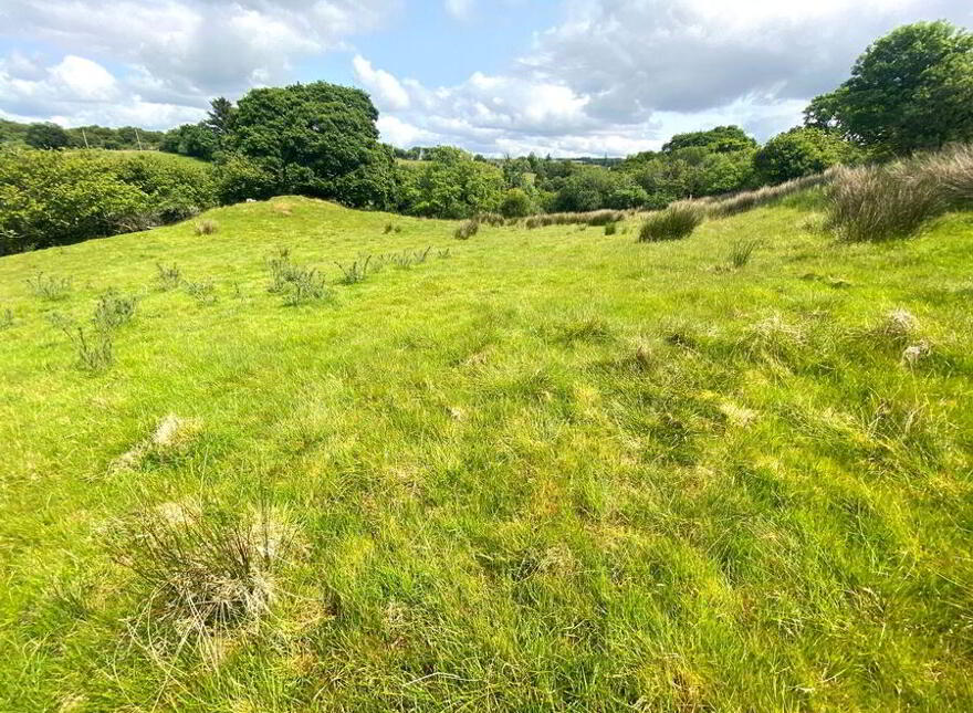 Cornaness Glebe, Ardara