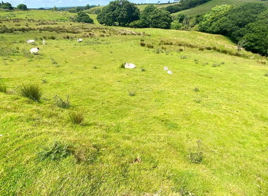 Cornaness Glebe, Ardara