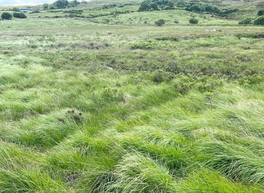 Cornaness Glebe, Ardara