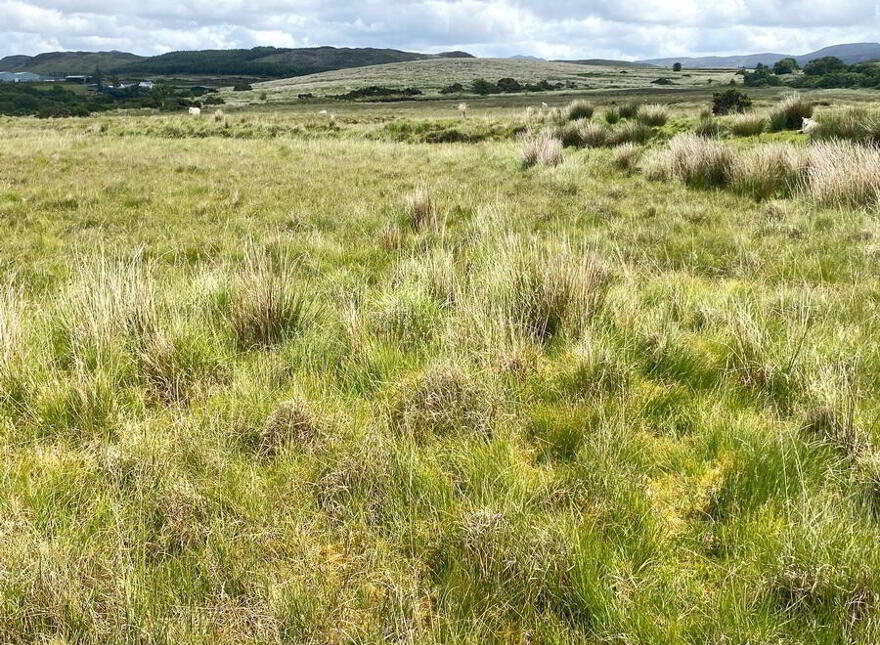 Cornaness Glebe, Ardara