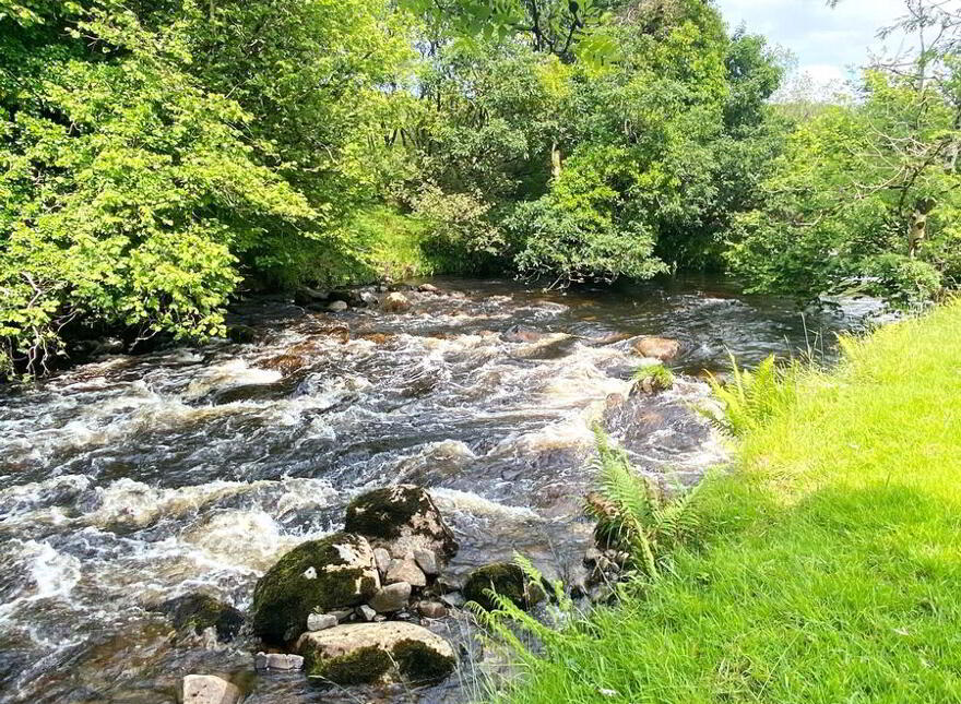 Cornaness Glebe, Ardara