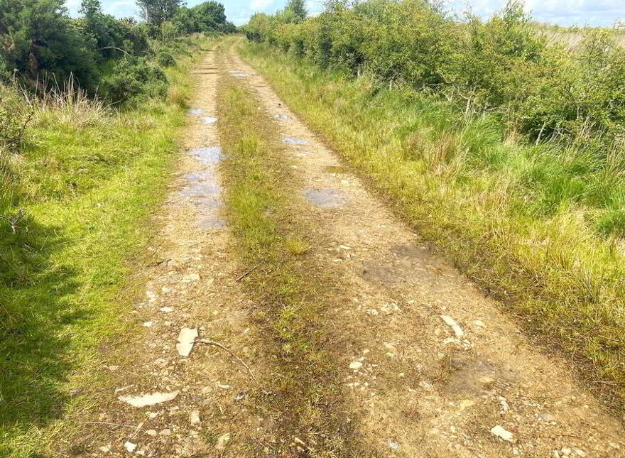 Cornaness Glebe, Ardara