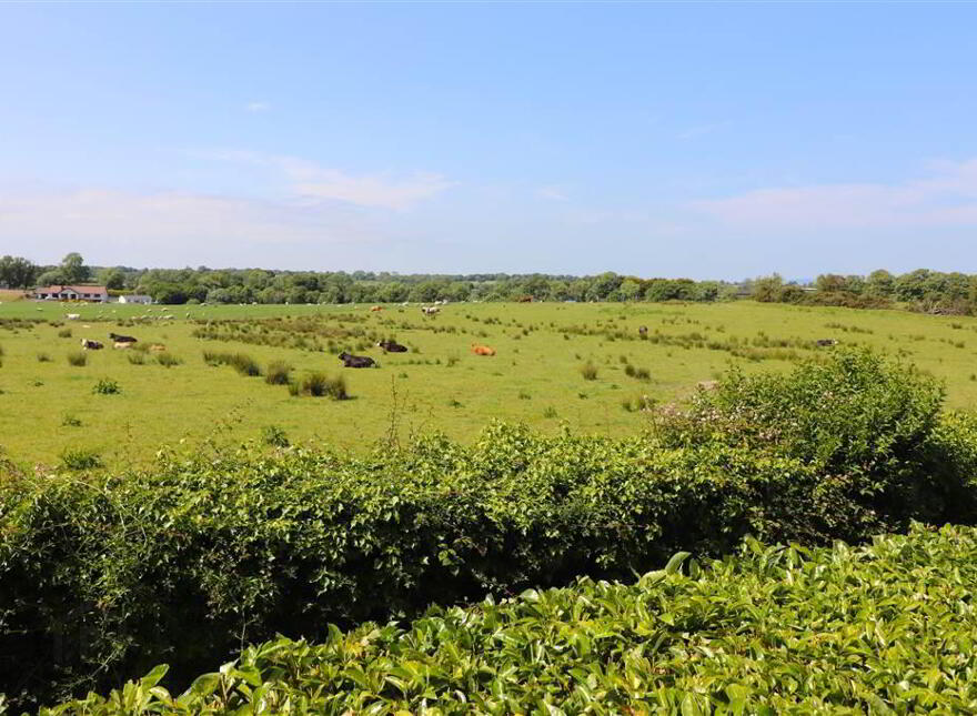 30 Garlandstown Road, Glenavy, BT29 4HH