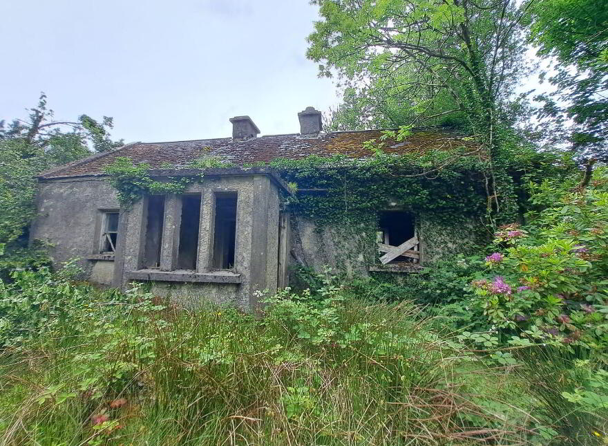 Tullynascreen, Dromahair photo