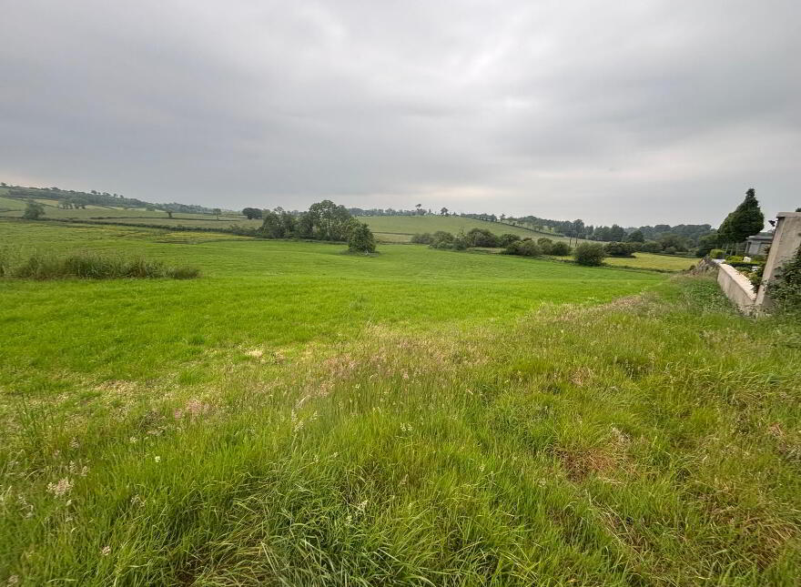71 Lurgan Road, Dromore, BT25 1HJ