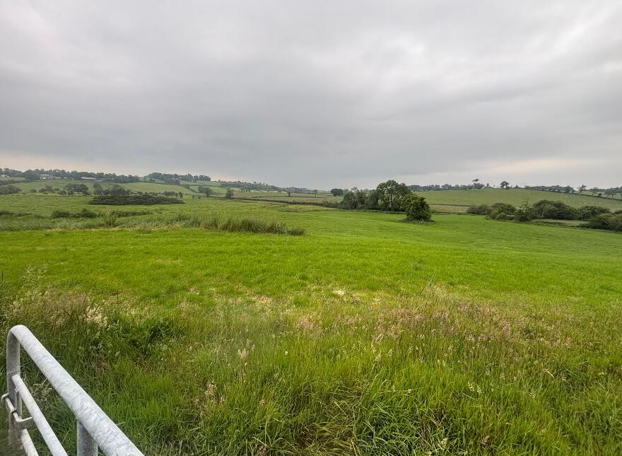 71 Lurgan Road, Dromore, BT25 1HJ