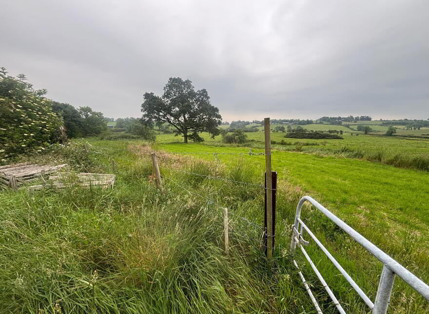 71 Lurgan Road, Dromore, BT25 1HJ