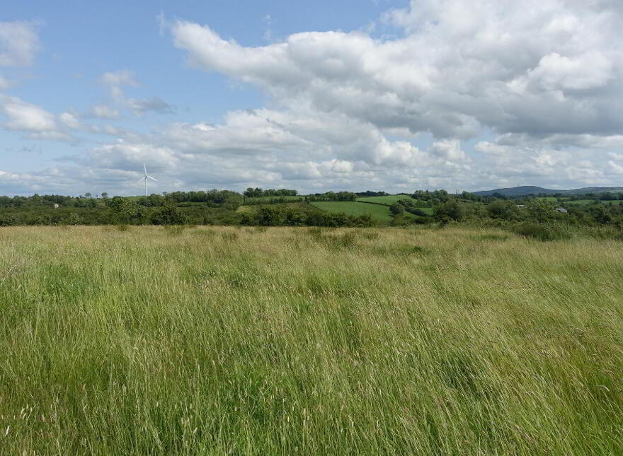 47 Salloon Road, Ballinamallard, BT92 2WT