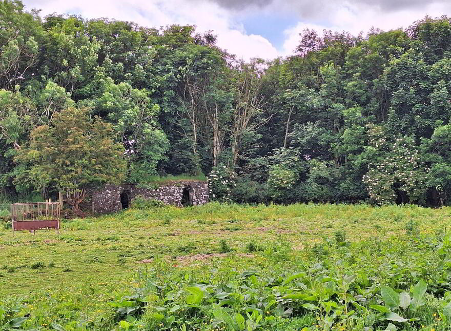 Site, Approx. 30m East Of, 45 Friary Road, Armoy, Ballymoney, BT53 8XZ