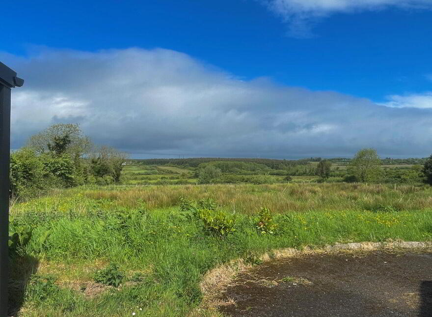Leitrim East, Moyvane