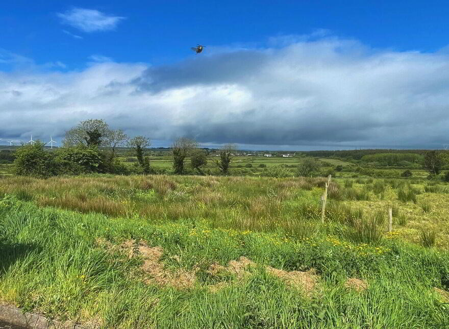 Leitrim East, Moyvane