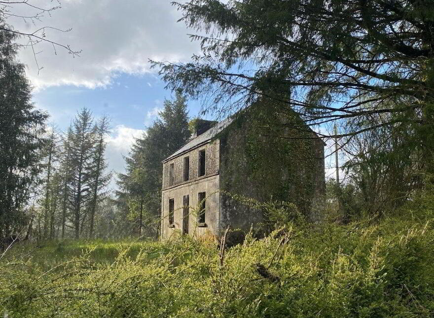 Affick, Ennis, Tulla photo