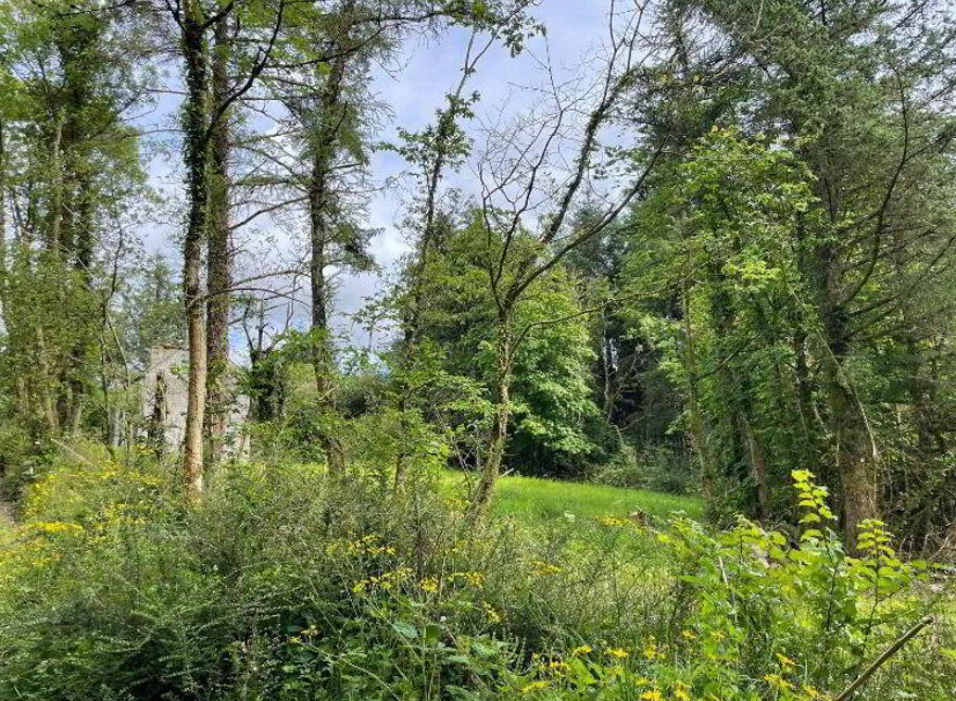 Affick, Ennis, Tulla