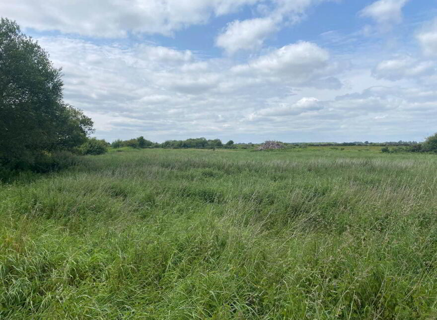 Clongowney, Belmont