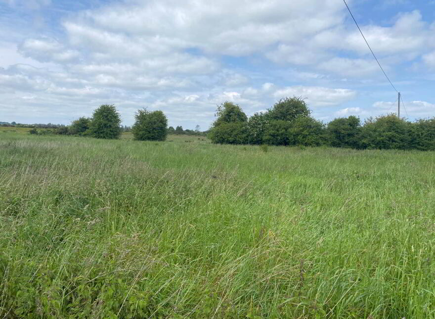 Clongowney, Belmont