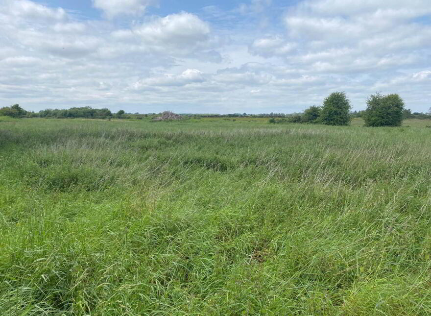 Clongowney, Belmont photo