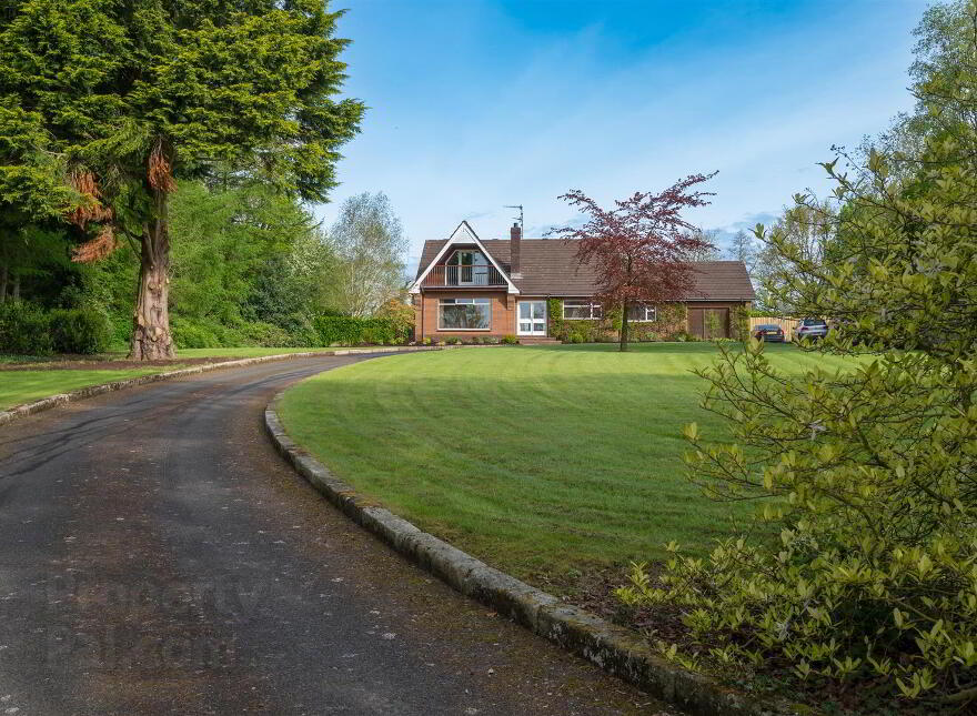252 Rashee Road, Ballyclare, BT39 9JQ photo