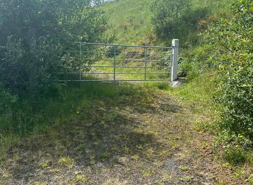 66 Gobbins Road, Islandmagee, Larne, BT40 3TY photo