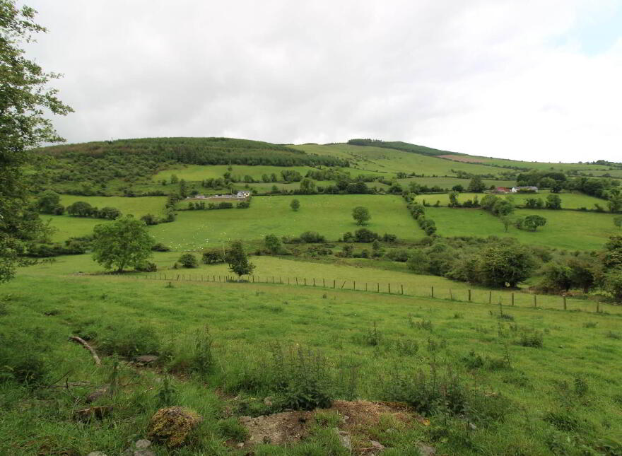 2, Killeen, Ballinaclough, Nenagh, E45DY80