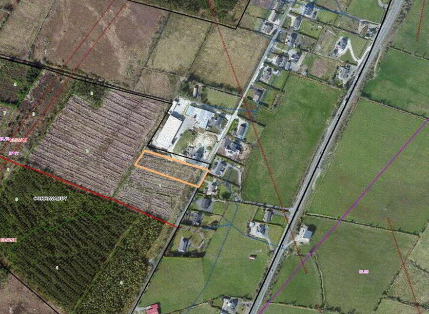Listellian, Letterkenny