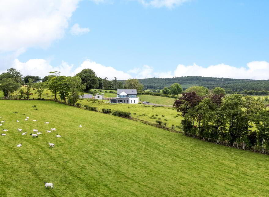 12 Old Ballynoe Road, Antrim, BT41 2QZ photo