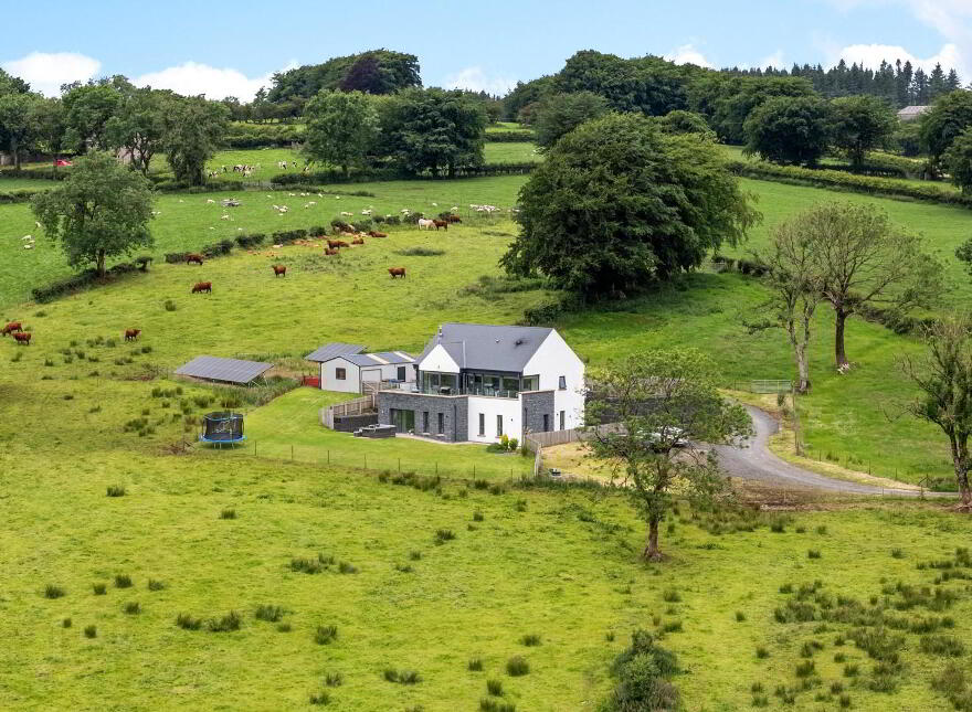 12 Old Ballynoe Road, Antrim, BT41 2QZ